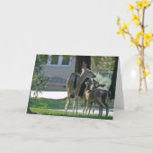 Blank Card, Baby Deh Karte (Gelbe Blume)