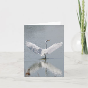 Blank Card, Egret Dankeskarte
