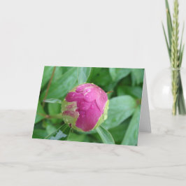 Blank Card im Frühjahr willkommen Karte