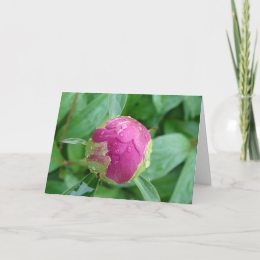 Blank Card im Frühjahr willkommen Karte (Vorderseite)