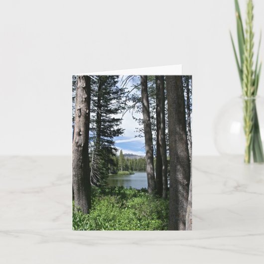 Blank Card, Mountain Lake, Forest Dankeskarte (Vorderseite)