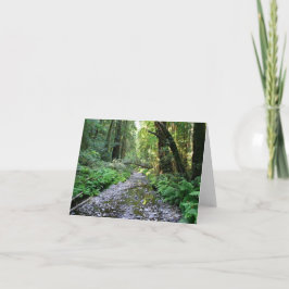 Blank Card, Muir Woods Dankeskarte