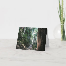 Blank Card, Muir Woods Dankeskarte
