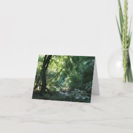 Blank Card, Muir Woods Dankeskarte