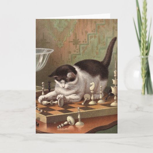 Blank card - Naughty Cat Series - Chess Cat Karte (Vorderseite)