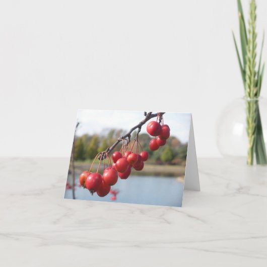 Blank Card - Red Berries Karte (Vorderseite)