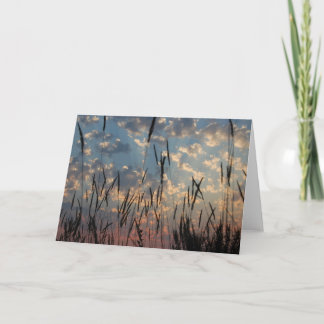 Blank Card - Vancouver Island Sunset Dankeskarte