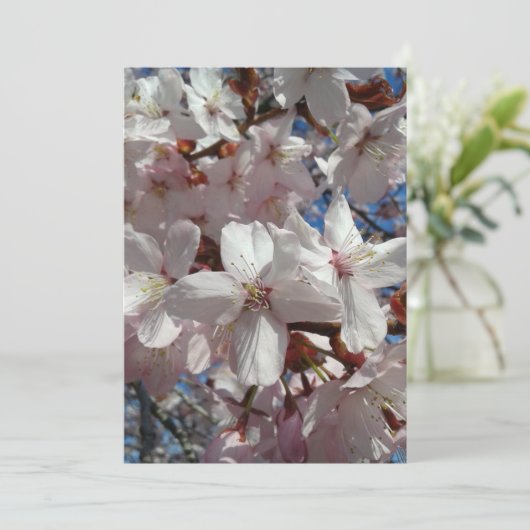 Blank Cherry Blossom Sakura Baumkarte (Stehend Vorderseite)