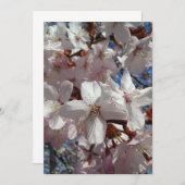 Blank Cherry Blossom Sakura Baumkarte (Vorne/Hinten)