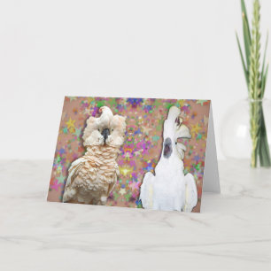 Blank Cockatoo Greeting Card w Moluccan Umbrella Karte