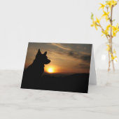 Blank Corgi bei Sunset Karte (Gelbe Blume)