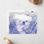 Blank Correspondence Cards feat."Peter Rottentail Mitteilungskarte (Vorderseite/Rückseite Beispiel)