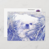 Blank Correspondence Cards feat."Peter Rottentail Mitteilungskarte (Vorne/Hinten)