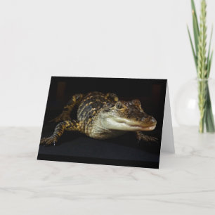 Blank der Alligatorkarte im Inneren Karte