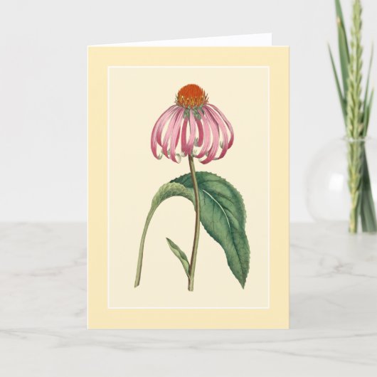 Blank der Conflower-Darstellung Karte (Vorderseite)