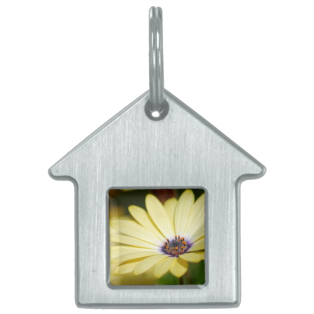 Blank Floral Pet Tag Tiermarke (Vorderseite)