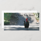 Blank Foto Card, Rooster (Vorne/Hinten)
