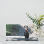 Blank Foto Card, Rooster (Stehend Vorderseite)