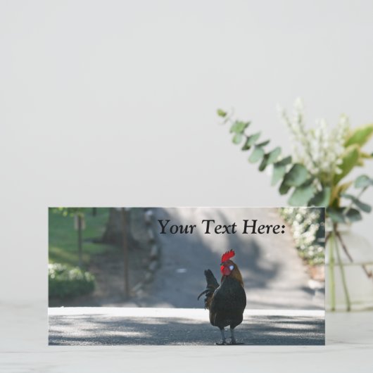 Blank Foto Card, Rooster (Stehend Vorderseite)