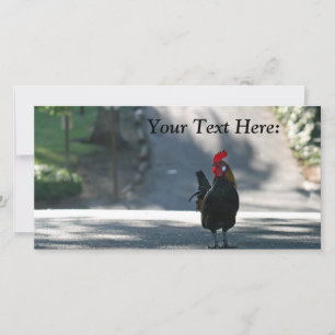 Blank Foto Card, Rooster