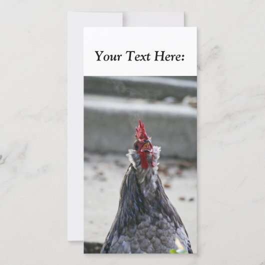 Blank Foto Card, Rooster (Vorderseite)