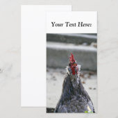 Blank Foto Card, Rooster (Vorne/Hinten)