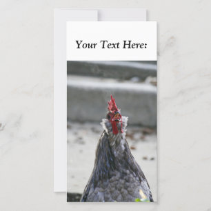Blank Foto Card, Rooster