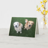 Blank Golden Retriever Grußkarte Karte (Gelbe Blume)