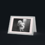 Blank Golden Retriever Welpe Grußkarte Feiertagskarte<br><div class="desc">Arnie als Welpe posieren für die Kamera.  Ich hoffe,  er kann deinen Tag aufhellen.</div>