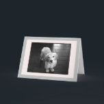 Blank Golden Retriever Welpe Grußkarte Feiertagskarte<br><div class="desc">Arnie als Welpe posieren für die Kamera.  Ich hoffe,  er kann deinen Tag aufhellen.</div>