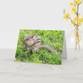 Blank Greeting card Chipmunk Karte (Gelbe Blume)