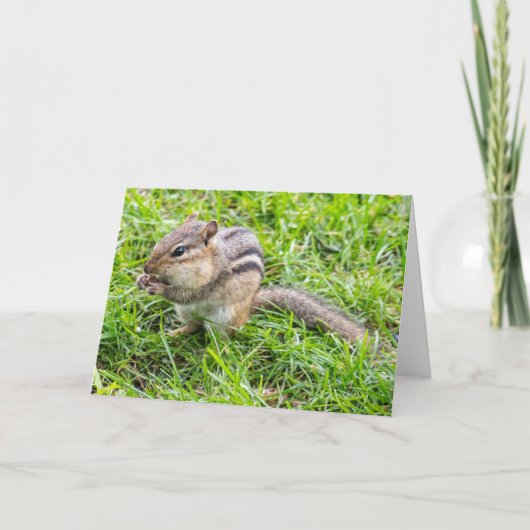 Blank Greeting card Chipmunk Karte (Vorderseite)