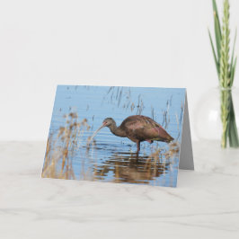 Blank Greeting Card featuring Ibis Karte