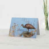 Blank Greeting Card featuring Ibis Karte (Vorderseite)