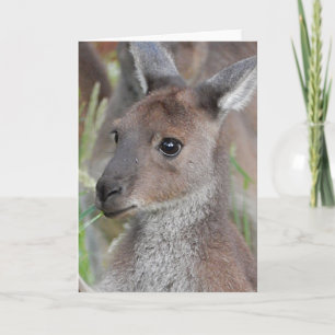Blank Greeting Card - Kangaroo Joey Karte