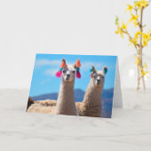 Blank Greeting Card - Llamas Karte (Gelbe Blume)