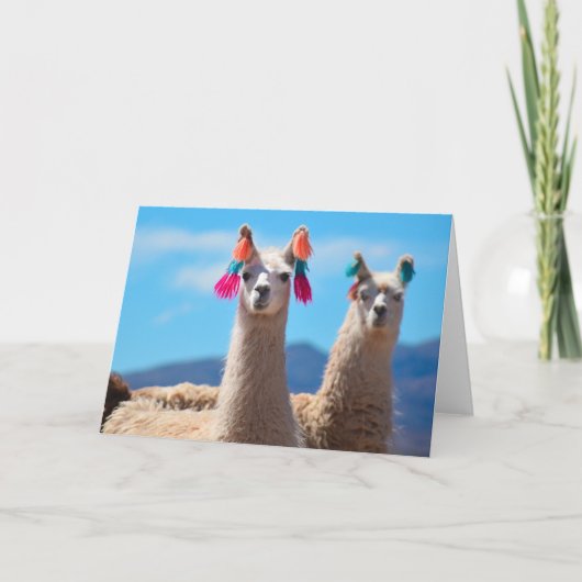 Blank Greeting Card - Llamas Karte (Vorderseite)