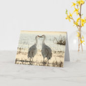 Blank Greeting Card mit Sandhill Cranes Karte (Gelbe Blume)