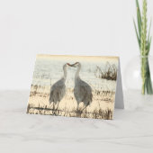 Blank Greeting Card mit Sandhill Cranes Karte (Vorderseite)