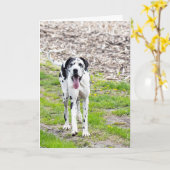 Blank Grußkarte Großes Ding Karte (Gelbe Blume)