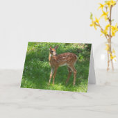 Blank-Grußkarte Karte (Gelbe Blume)