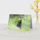 Blank-Grußkarte mit Schwarzbär Karte (Gelbe Blume)