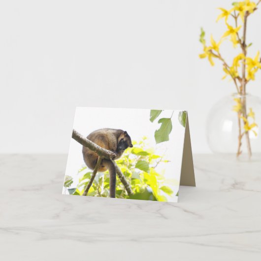 Blank Grußkarte mit Tree Kangaroo Karte (Gelbe Blume)