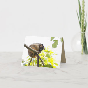 Blank Grußkarte mit Tree Kangaroo Karte