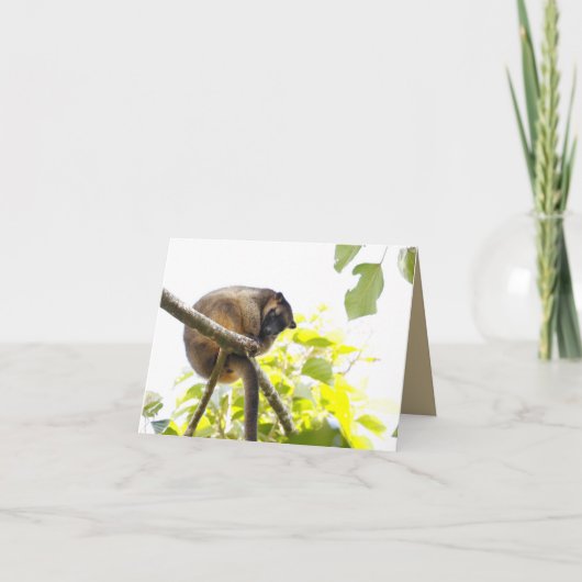 Blank Grußkarte mit Tree Kangaroo Karte (Vorderseite)