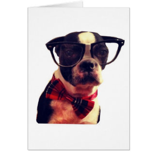 Blank Hipster Boston Terrier card