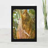 Blank im Jeder Anlass für Feldkorn Karte (Vorderseite)