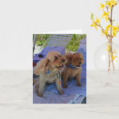 Blank Inside, Cockapoo Dogs Enjoy Beach Karte (Gelbe Blume)