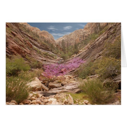 Blank Inside, Terrace Canyon Scenic Greeting Card  (Vorderseite (Horizontal))