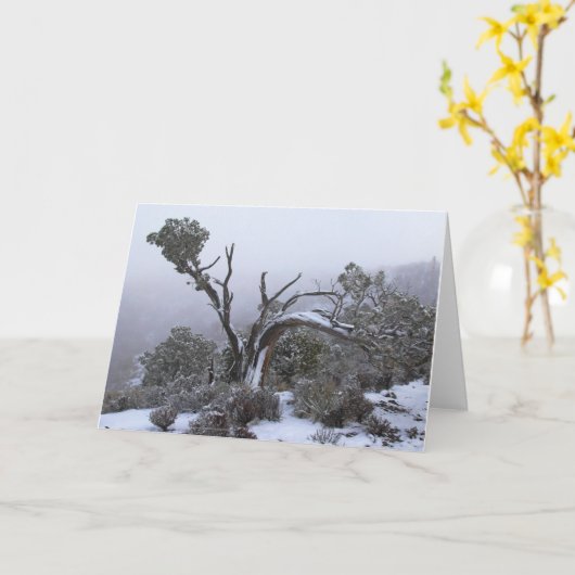 Blank Inside Winter Tree Grußkarte Karte (Gelbe Blume)